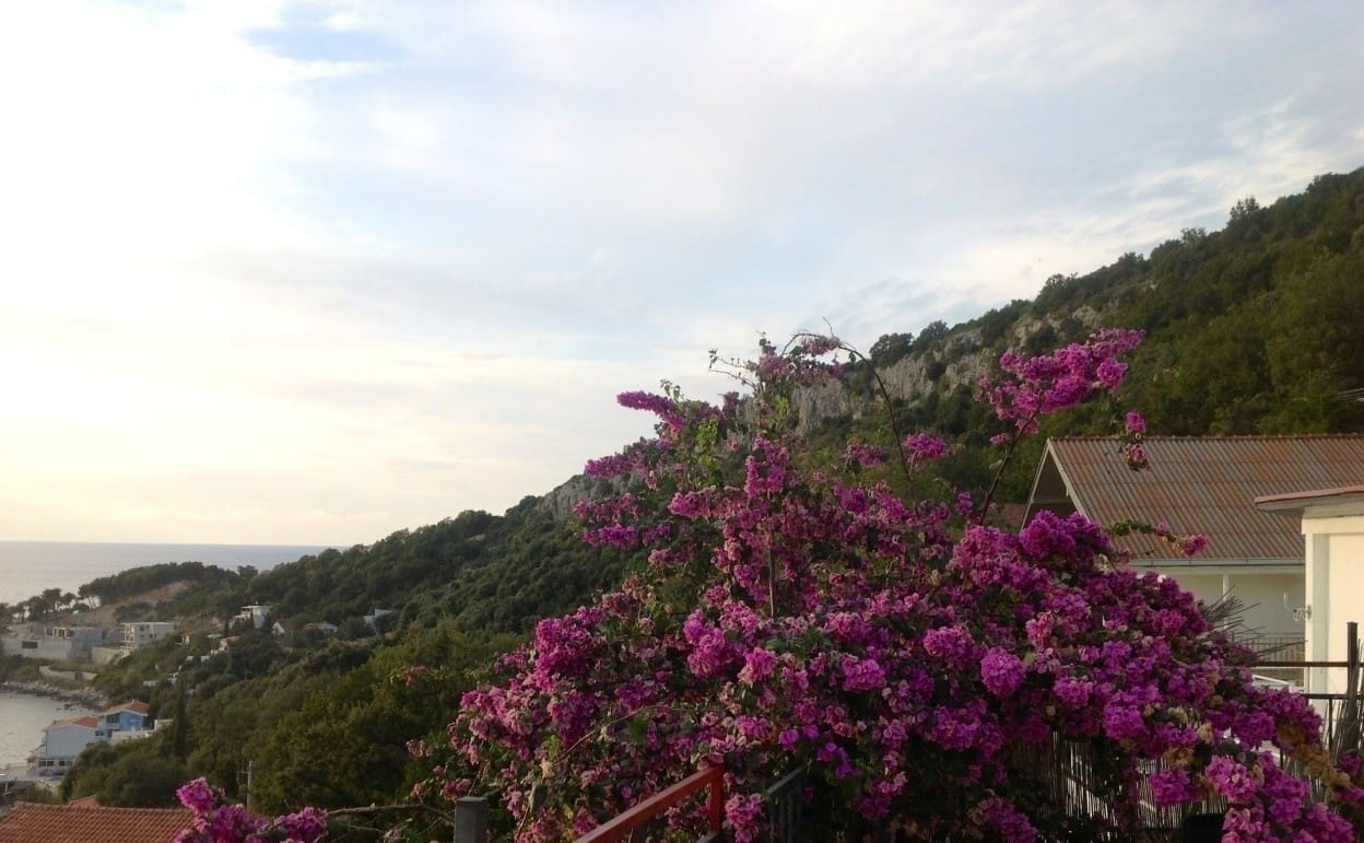 montenegro-real-estate-com-1