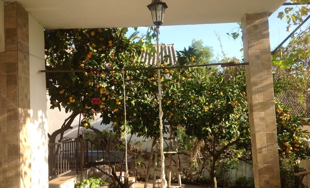 montenegro-real-estate-com-4