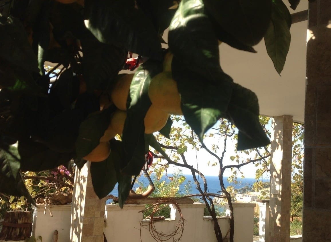 montenegro-real-estate-com-7