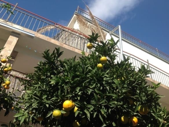 Legalny, trzypiętrowy dom na sprzedaż w Kruče, Czarnogóra, zaledwie 100 metrów od morza. Powierzchnia całkowita 420 m² plus taras na dachu, wiele kuchni i sypialni, idealny do zamieszkania dla rodziny lub na minihotel.