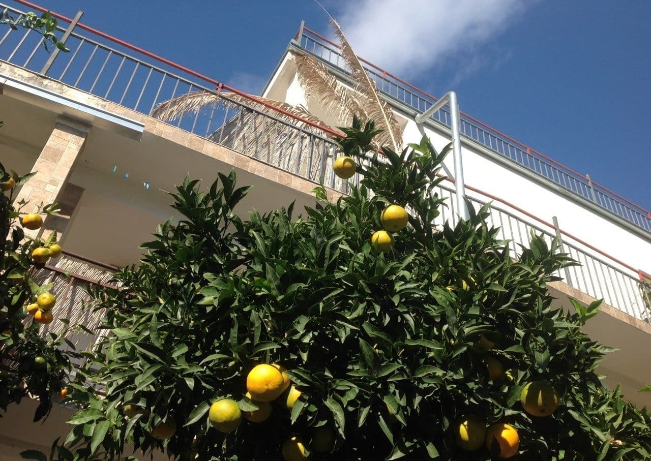 great-house-for-sale-in-kruce Legal three-floor house for sale in Kruče, Montenegro, just 100 meters from the sea. Total area 420 m² plus roof terrace, multiple kitchens and bedrooms, ideal for family living or mini-hotel use.