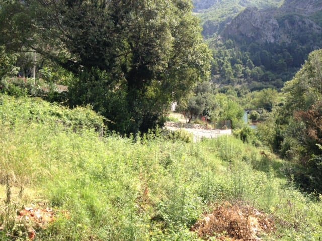 Risan'da satılık arazi