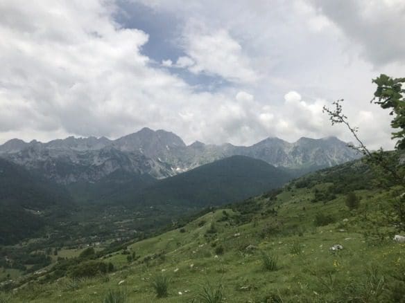 Земельна ділянка в продажу в Липово-Колашин