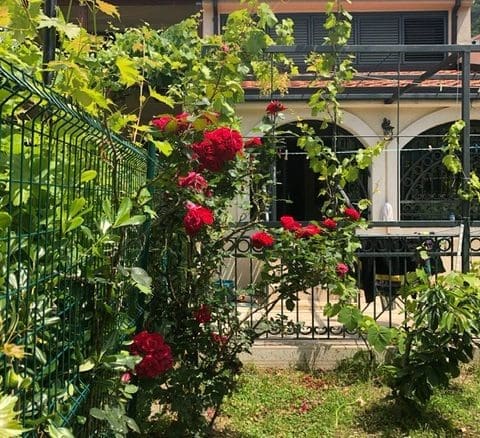 The Townhouse For Sale In Petrovac