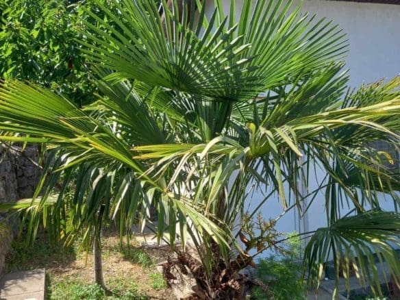 House For Sale In Gluhi Do,Virpazar-Bar Municipality