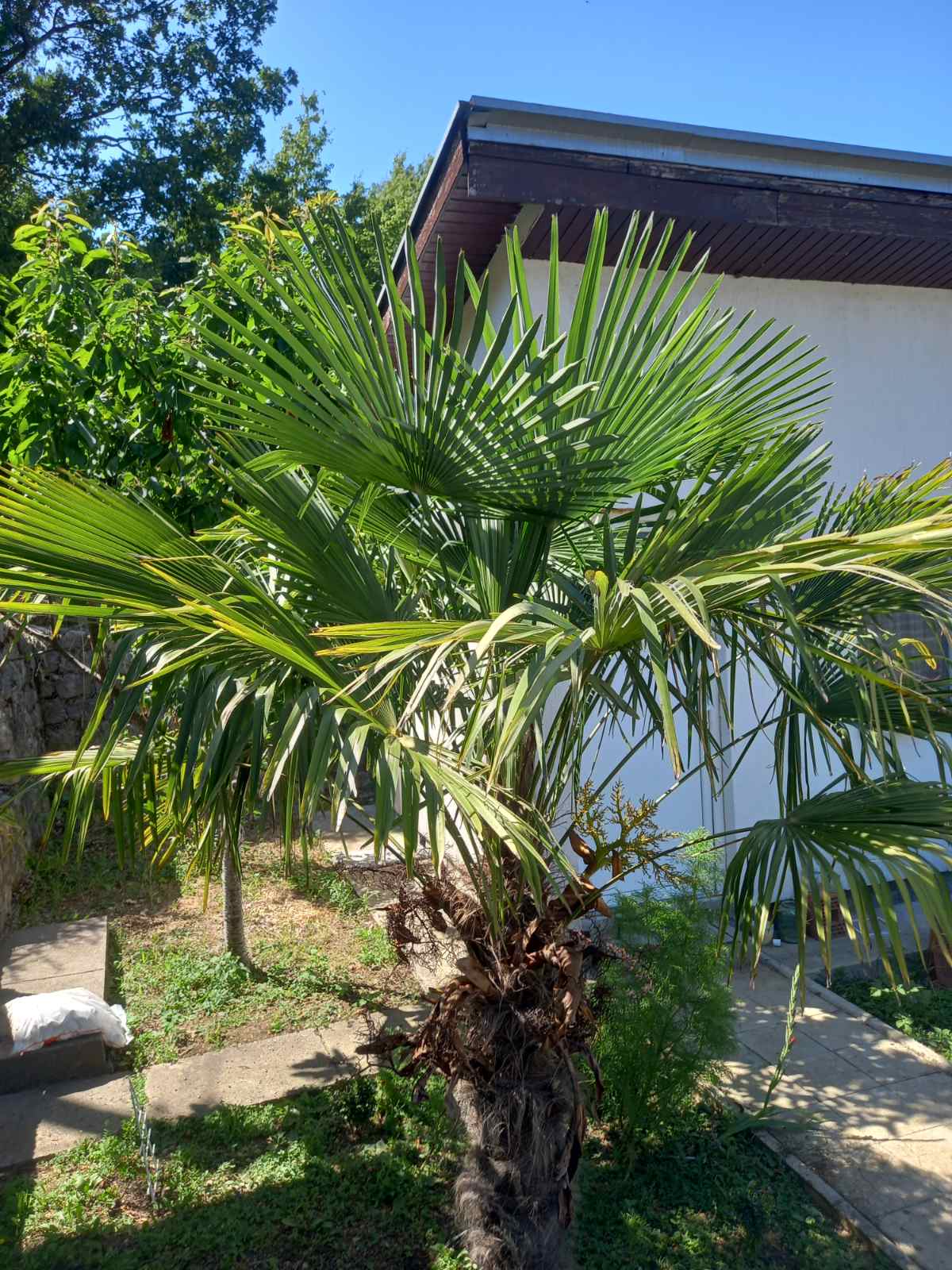 Haus zu verkaufen in Gluhi Do, Virpazar-Bar Gemeinde