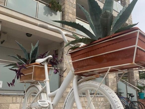 Нагода придбати прибутковий готель у Бечичах