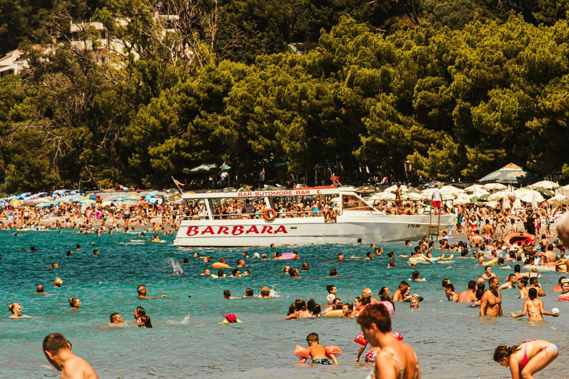 Kotor Körfezi Manzaralı Lüks Daireler - Zeleni Pojas Real Estate Montenegro