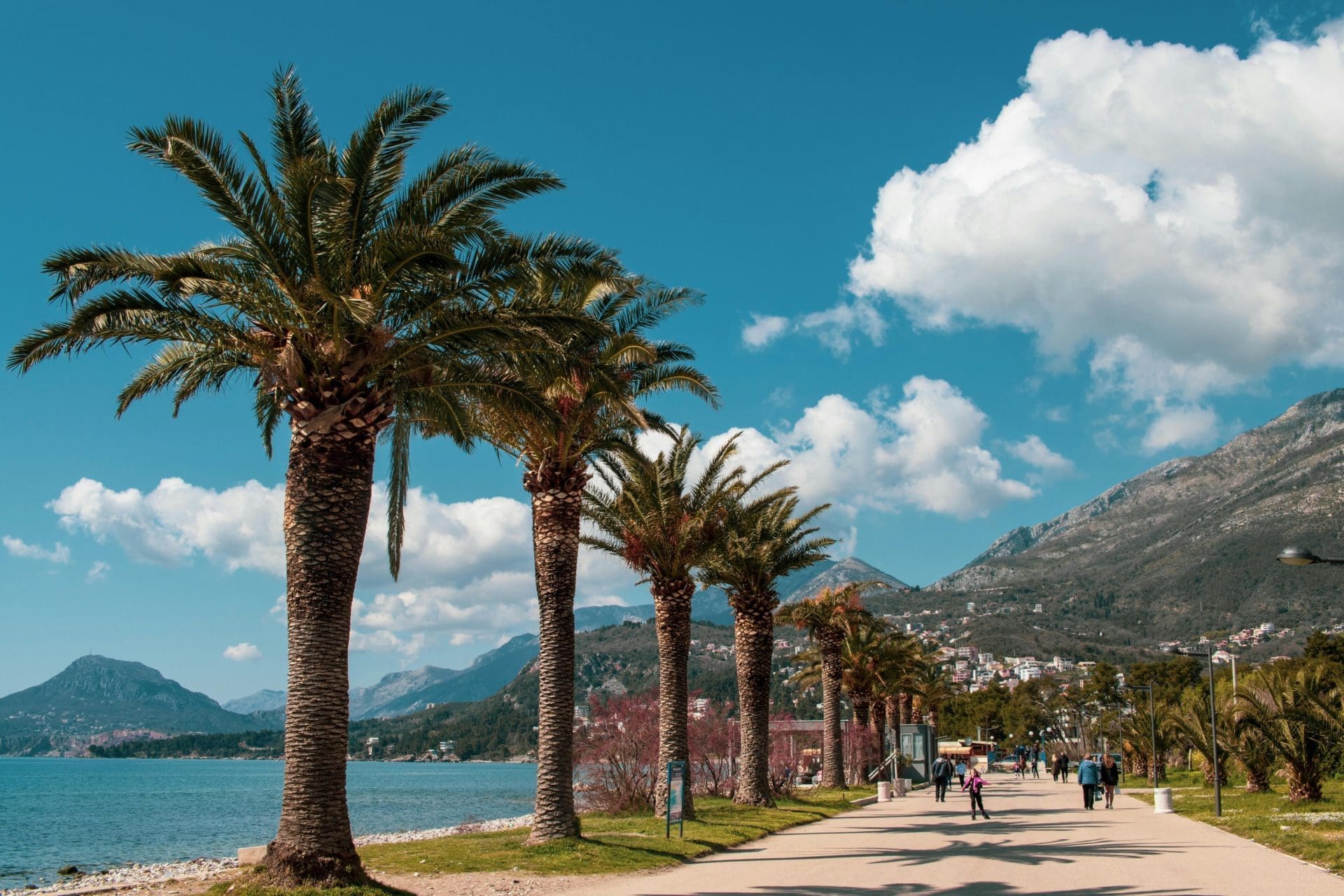 🏡 Discover Zeleni Pojas: Montenegro'S Coastal Green Oasis - Zeleni Pojas Real Estate Montenegro Beaches Near Zeleni Pojas Bar