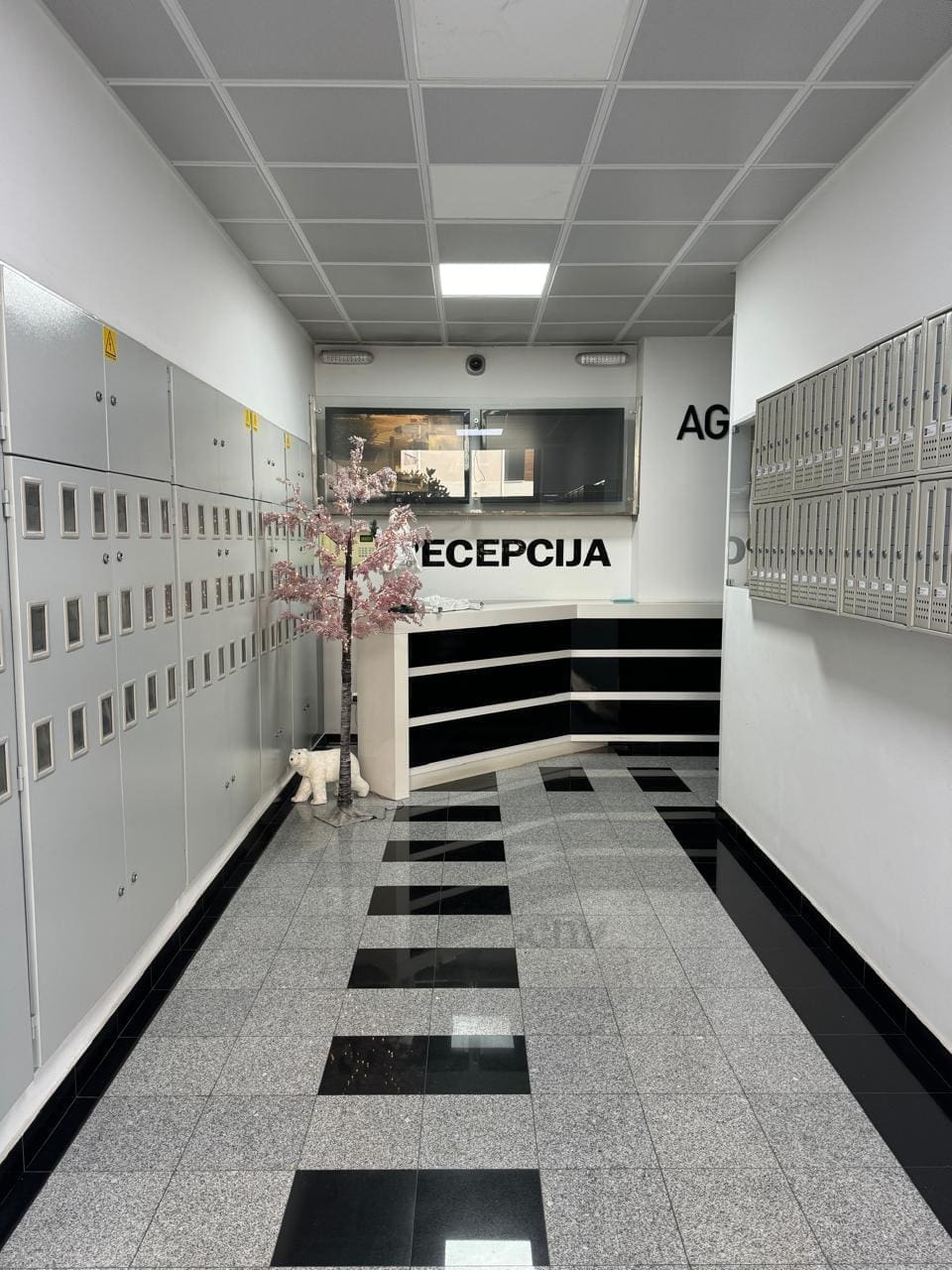 MRE-Property Montenegro (25)