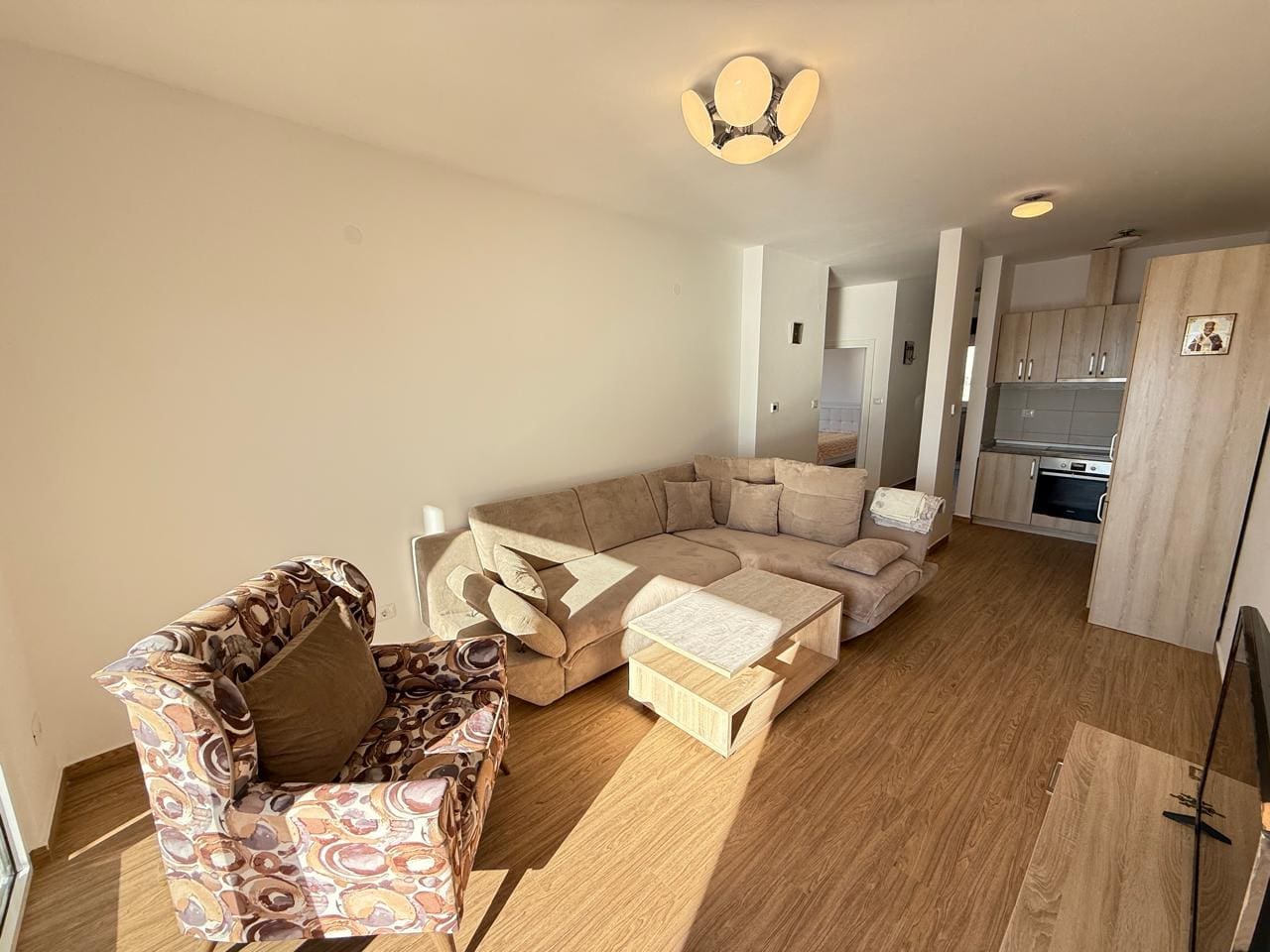 MRE-property Montenegro (9)